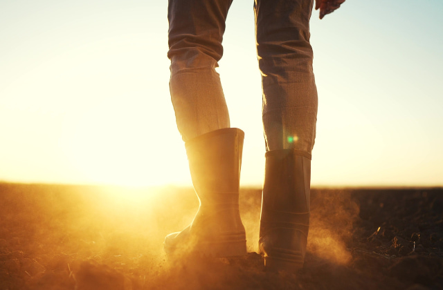 農場に立つ男性