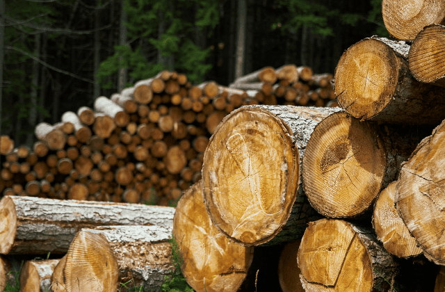 沢山の丸太