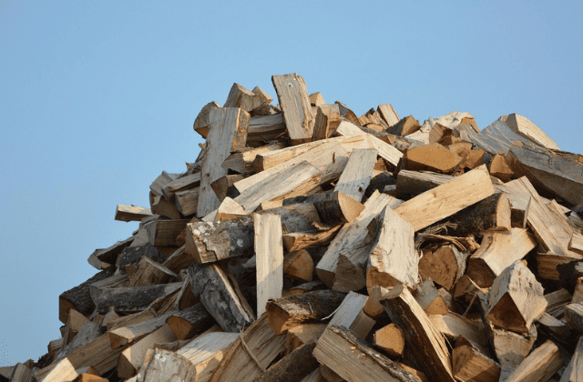 木材が積まれている様子