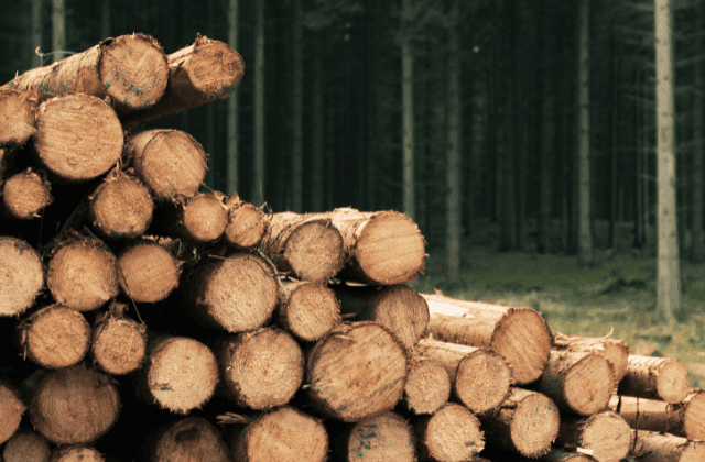 沢山の丸太