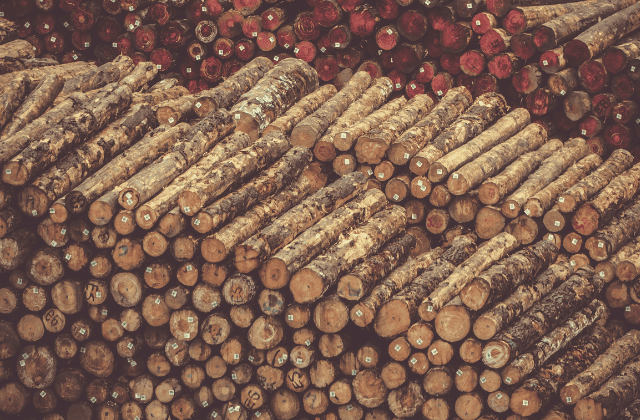 沢山の木材が積まれている様子